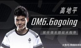 圈内人士爆料选手,选手背后的精彩故事