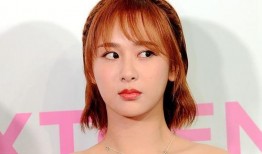 娱乐圈爆料10条